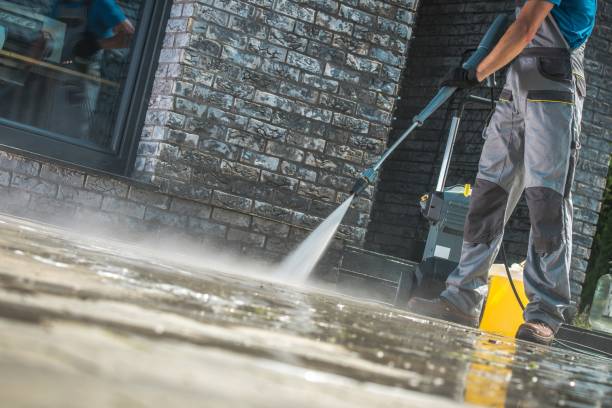 Best Fleet Vehicle Washing  in Armada, MI